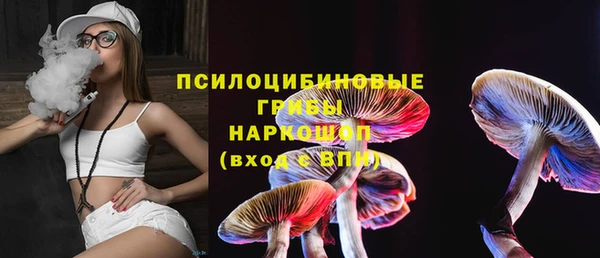 твердый Алексин