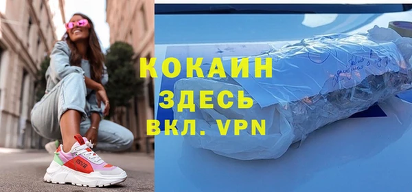 твердый Алексин