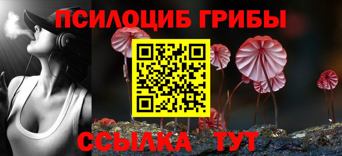 где продают наркотики  Лесосибирск  Галлюциногенные грибы GOLDEN TEACHER 