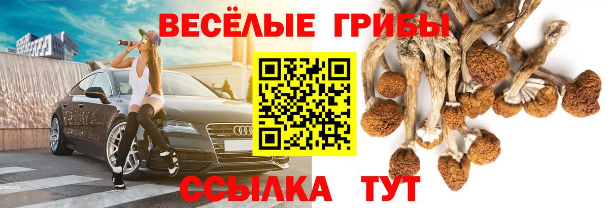 закладки  Галлюциногенные грибы ЛСД  Лесосибирск  Вход с VPN  Галлюциногенные грибы MAGIC MUSHROOMS 