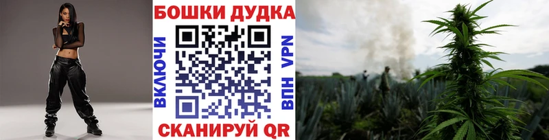 MEGA tor  darknet формула  Каннабис индика  Лесосибирск 