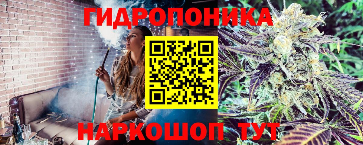 Бошки марихуана сатива Лесосибирск